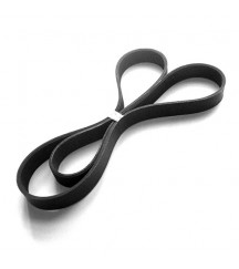 V-ribbed belt 3819398